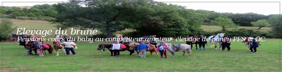 Elevage du brune